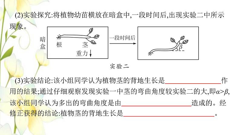 新教材高考生物一轮复习第八单元生命活动的调节能力素养提升课7与植物激素相关的实验设计课件新人教版第3页