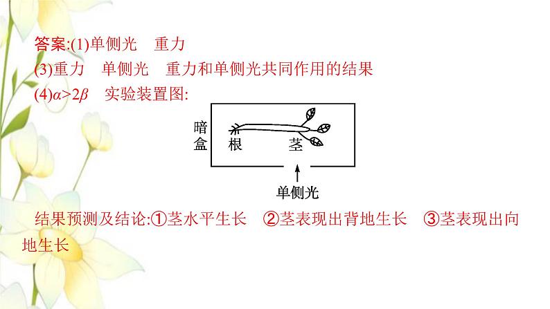 新教材高考生物一轮复习第八单元生命活动的调节能力素养提升课7与植物激素相关的实验设计课件新人教版第5页