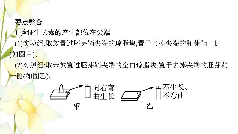 新教材高考生物一轮复习第八单元生命活动的调节能力素养提升课7与植物激素相关的实验设计课件新人教版第7页