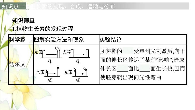 新教材高考生物一轮复习第八单元生命活动的调节第5讲植物生命活动的调节课件新人教版第6页