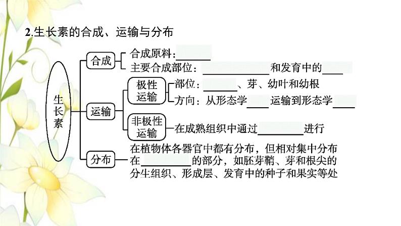 新教材高考生物一轮复习第八单元生命活动的调节第5讲植物生命活动的调节课件新人教版第8页