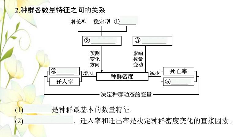 新教材高考生物一轮复习第九单元生物与环境第1讲种群及其动态课件新人教版07