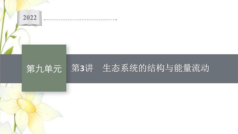 新教材高考生物一轮复习第九单元生物与环境第3讲生态系统的结构与能量流动课件新人教版01