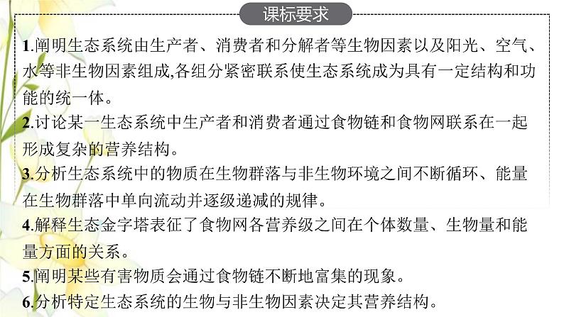 新教材高考生物一轮复习第九单元生物与环境第3讲生态系统的结构与能量流动课件新人教版02