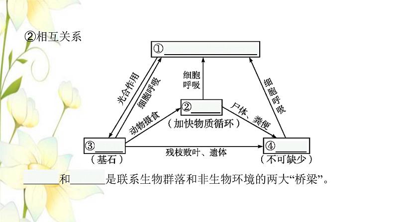 新教材高考生物一轮复习第九单元生物与环境第3讲生态系统的结构与能量流动课件新人教版08