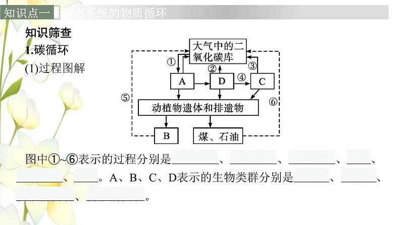 新教材高考生物一轮复习第九单元生物与环境第4讲生态系统的物质循环信息传递和稳定性课件新人教版第6页