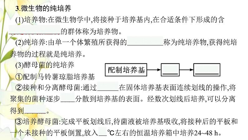 新教材高考生物一轮复习第十单元发酵工程第2讲微生物的培养技术及应用课件新人教版08