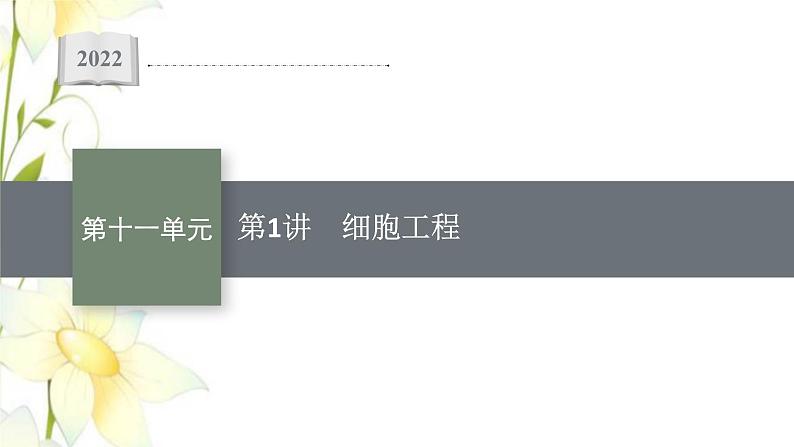 新教材高考生物一轮复习第十一单元细胞工程基因工程及生物技术的安全性与伦理问题第1讲细胞工程课件新人教版01