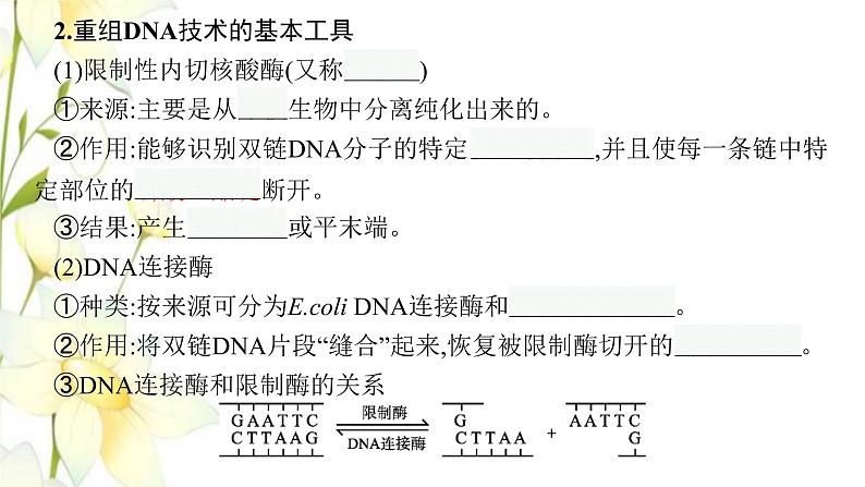 新教材高考生物一轮复习第十一单元细胞工程基因工程及生物技术的安全性与伦理问题第2讲基因工程及生物技术的安全性与伦理问题课件新人教版第7页