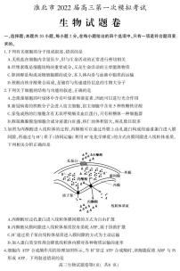 安徽省淮北市2022届高三第一次模拟考试生物PDF版含答案（可编辑）