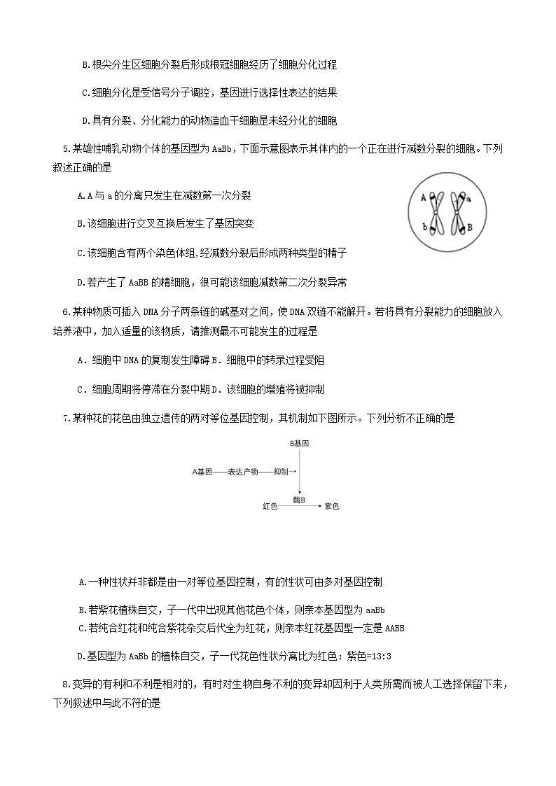 北京市通州区2021届高三下学期4月一模考试（一模）生物试题 Word版含答案第2页