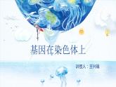 2.2 基因在染色体上 课件【新教材】2020-2021学年高一生物人教版（2019）必修二