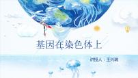 生物必修2《遗传与进化》第2章 基因和染色体的关系第2节 基因在染色体上教课内容课件ppt