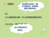 2.2 基因在染色体上 课件【新教材】2020-2021学年高一生物人教版（2019）必修二