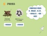 2.2 基因在染色体上 课件【新教材】2020-2021学年高一生物人教版（2019）必修二