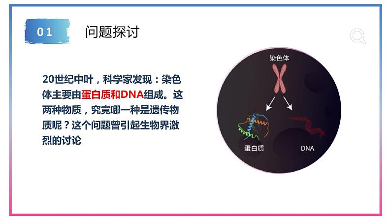 3.1DNA是主要的遗传物质 课件【新教材】2020-2021学年高一生物人教版（2019）必修二02