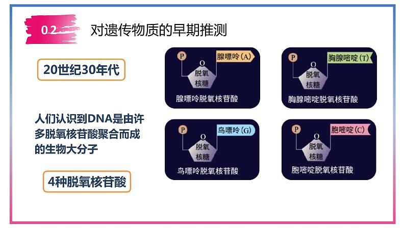 3.1DNA是主要的遗传物质 课件【新教材】2020-2021学年高一生物人教版（2019）必修二06