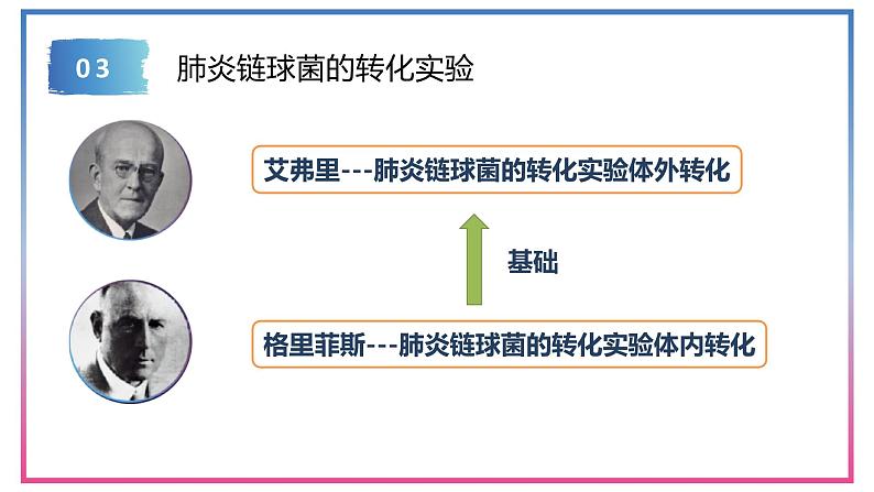 3.1DNA是主要的遗传物质 课件【新教材】2020-2021学年高一生物人教版（2019）必修二08