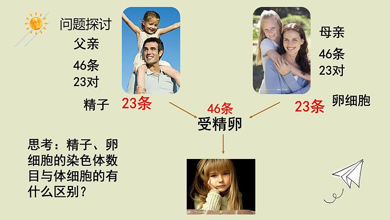 2.1 减数分裂 课件【新教材】2020-2021学年高一生物人教版（2019）必修二03