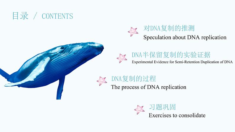 3.3 DNA的复制 课件【新教材】2020-2021学年高一生物人教版（2019）必修二02