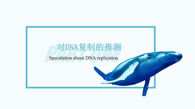 3.3 DNA的复制 课件【新教材】2020-2021学年高一生物人教版（2019）必修二05