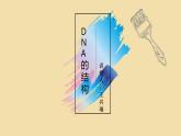 3.2 DNA的结构 课件【新教材】2020-2021学年高一生物人教版（2019）必修二