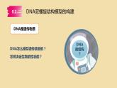 3.2 DNA的结构 课件【新教材】2020-2021学年高一生物人教版（2019）必修二