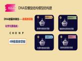 3.2 DNA的结构 课件【新教材】2020-2021学年高一生物人教版（2019）必修二