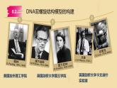 3.2 DNA的结构 课件【新教材】2020-2021学年高一生物人教版（2019）必修二