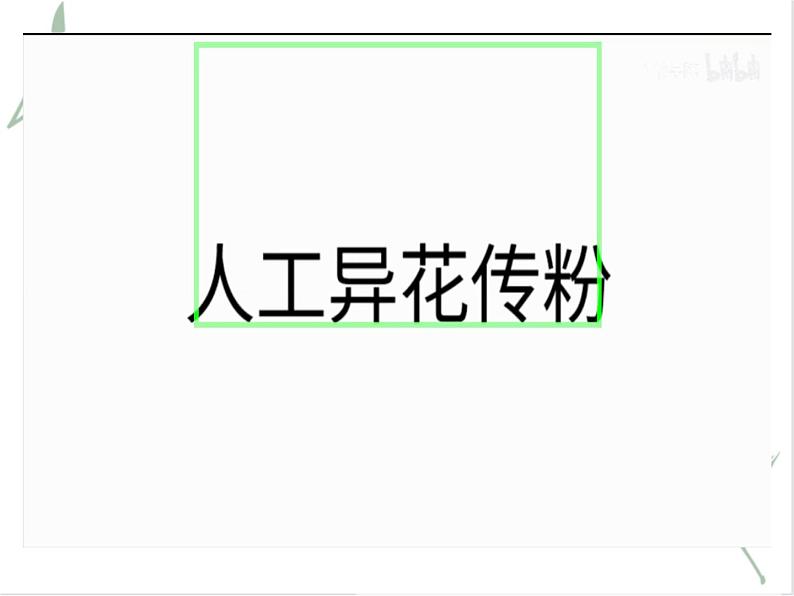 孟德尔从一对相对性状的杂交实验中总结出分离定律PPT课件免费下载08