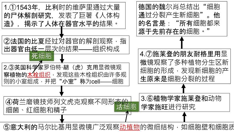 1.1细胞是生命活动的基本单位课件PPT06