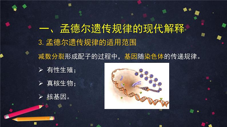 高一生物学(人教版2019)必修二 基因在染色体上（2)课件+教案+导学案+学习任务单+同步练习含答案08