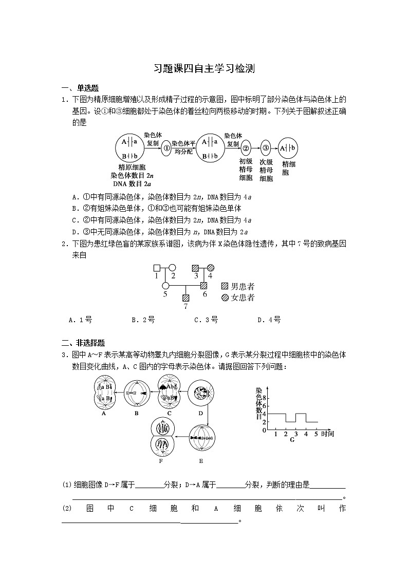 高一生物学(人教版2019)必修二 基因在染色体上（2)课件+教案+导学案+学习任务单+同步练习含答案01