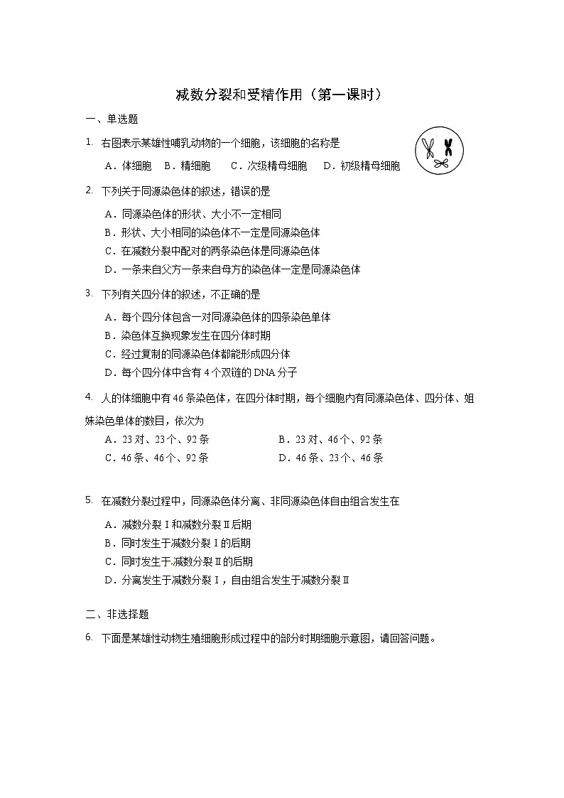 高一生物学(人教版2019)必修二 减数分裂和受精作用 减数分裂  课件+教案+导学案+学习任务单+同步练习含答案01