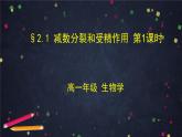 高一生物学(人教版2019)必修二 减数分裂和受精作用 减数分裂  课件+教案+导学案+学习任务单+同步练习含答案
