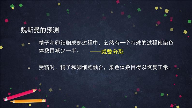 高一生物学(人教版2019)必修二 减数分裂和受精作用 减数分裂  课件+教案+导学案+学习任务单+同步练习含答案04