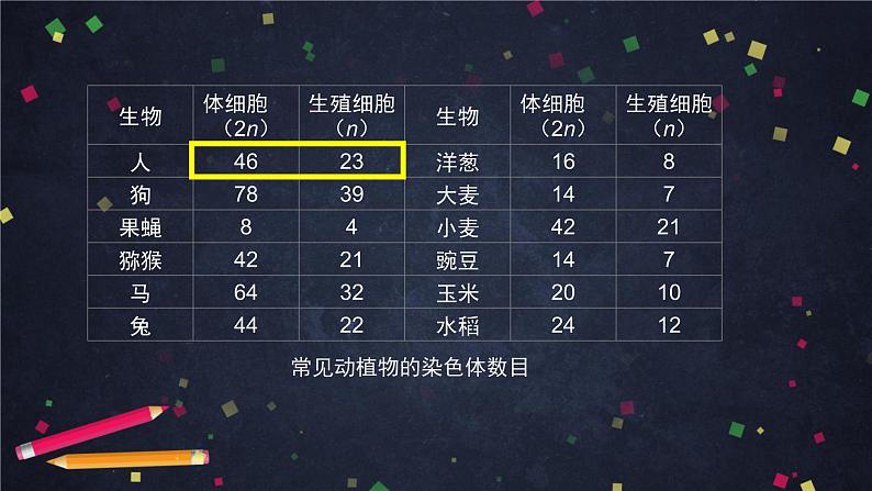 高一生物学(人教版2019)必修二 减数分裂和受精作用 减数分裂  课件+教案+导学案+学习任务单+同步练习含答案06