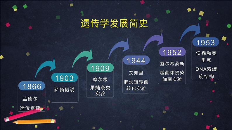 高一生物学(人教版2019)必修二 DNA的复制 课件+教案+导学案+学习任务单+同步练习含答案02