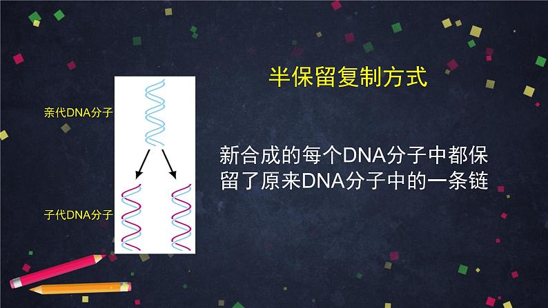 高一生物学(人教版2019)必修二 DNA的复制 课件+教案+导学案+学习任务单+同步练习含答案07