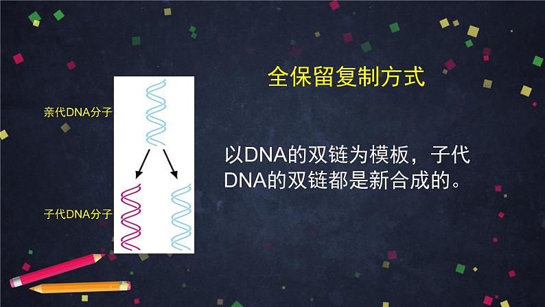 高一生物学(人教版2019)必修二 DNA的复制 课件+教案+导学案+学习任务单+同步练习含答案08