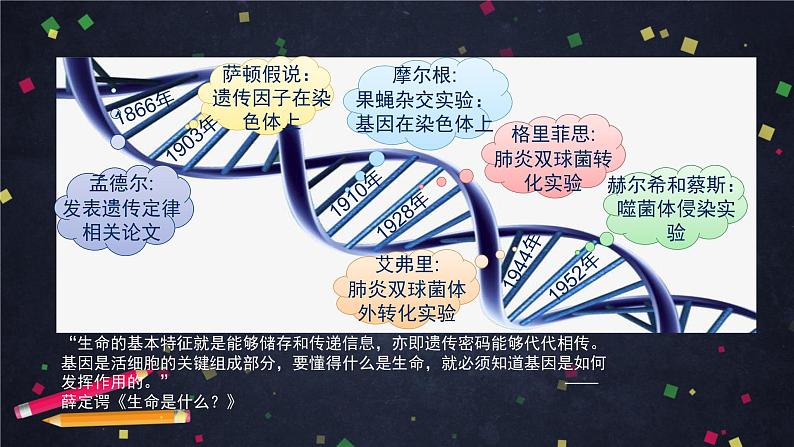 高一生物学(人教版2019)必修二 DNA的结构 课件+教案+导学案+学习任务单+同步练习含答案02