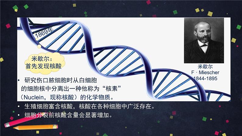 高一生物学(人教版2019)必修二 DNA的结构 课件+教案+导学案+学习任务单+同步练习含答案03