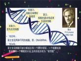 高一生物学(人教版2019)必修二 DNA的结构 课件+教案+导学案+学习任务单+同步练习含答案