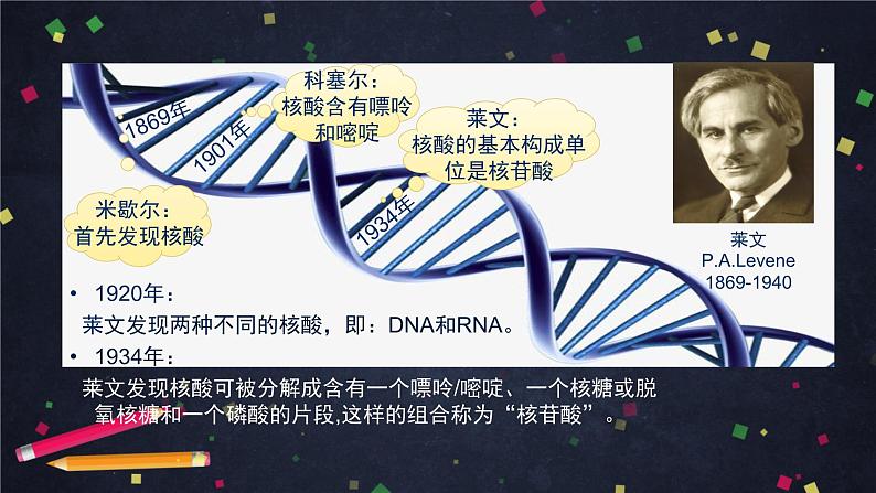 高一生物学(人教版2019)必修二 DNA的结构 课件+教案+导学案+学习任务单+同步练习含答案05