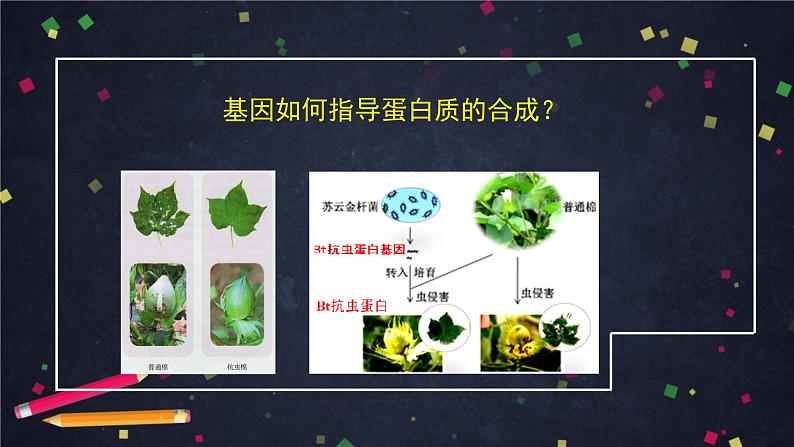 高一生物学(人教版2019)必修二 基因指导蛋白质的合成（1） 课件+教案+导学案+学习任务单+同步练习含答案02