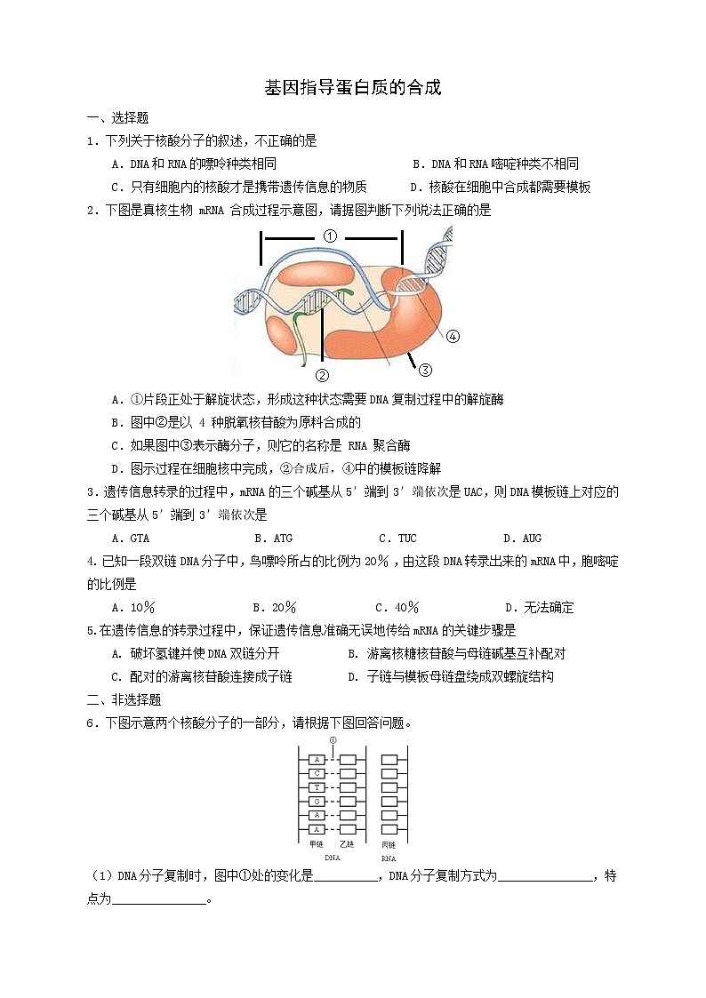 高一生物学(人教版2019)必修二 基因指导蛋白质的合成（2） 课件+教案+导学案+学习任务单+同步练习含答案01