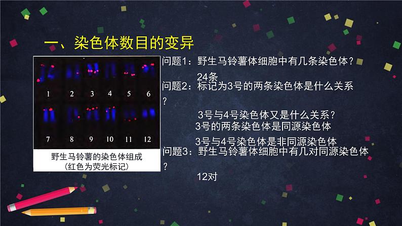 高一生物学(人教版2019)必修二  染色体变异 课件+教案+导学案+学习任务单+同步练习含答案03