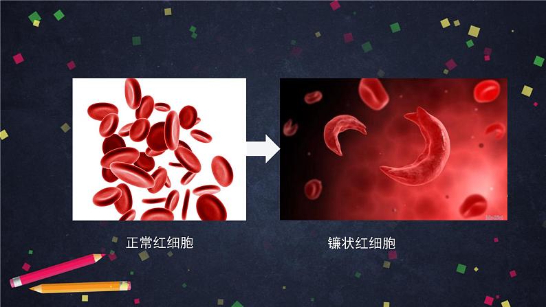 高一生物学(人教版2019)必修二  基因突变和基因重组 课件+教案+导学案+学习任务单+同步练习含答案06