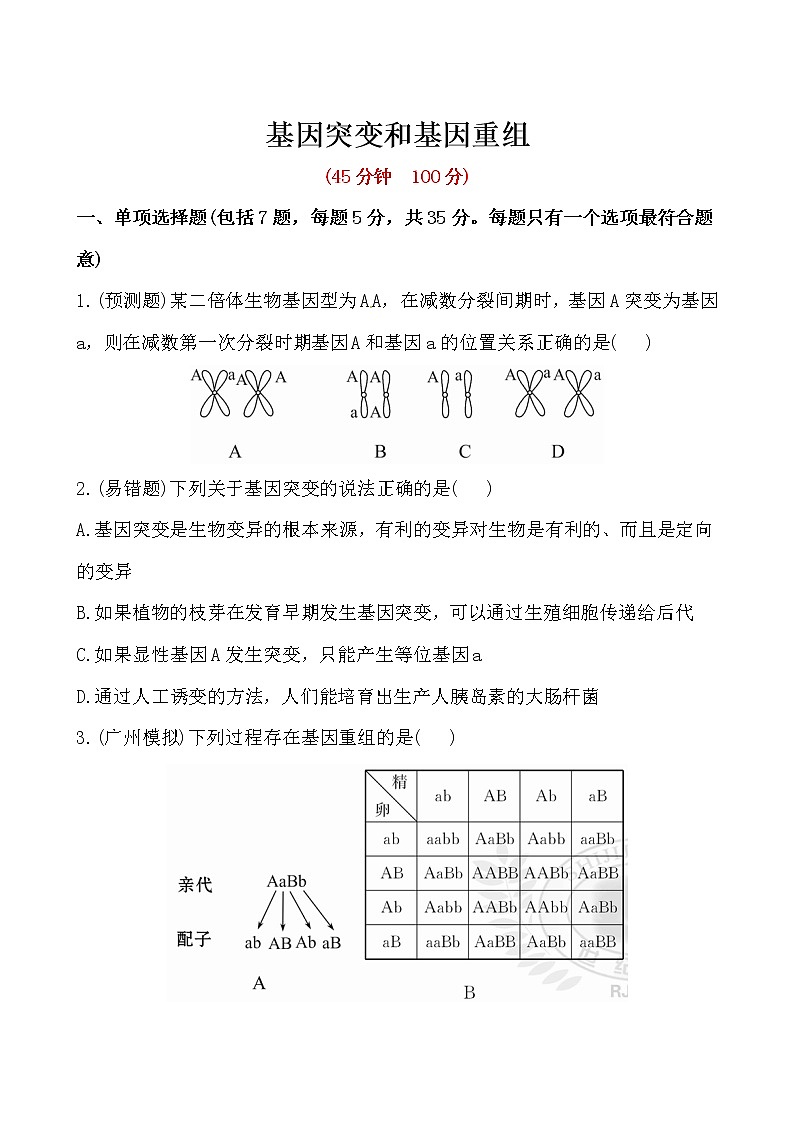 高一生物学(人教版2019)必修二  基因突变和基因重组 课件+教案+导学案+学习任务单+同步练习含答案01