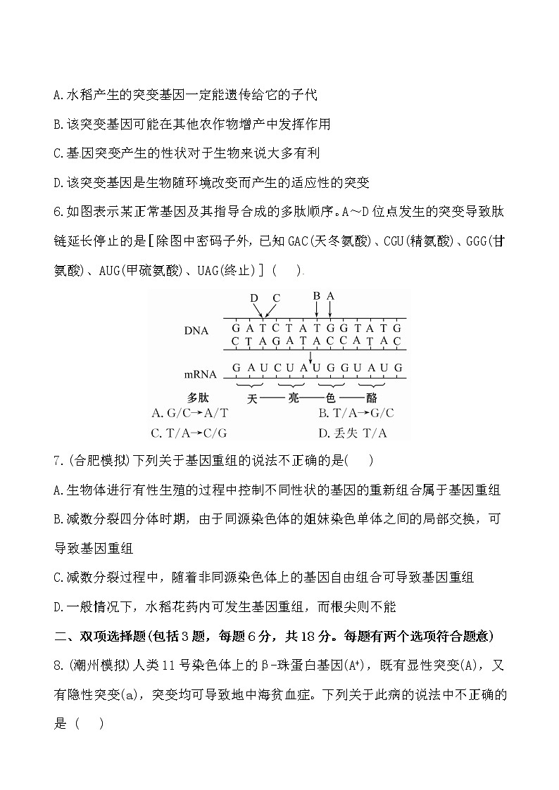 高一生物学(人教版2019)必修二  基因突变和基因重组 课件+教案+导学案+学习任务单+同步练习含答案03